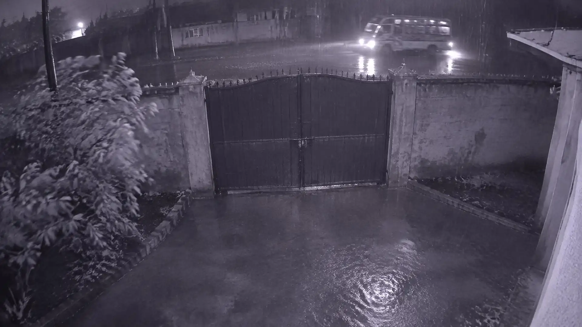 Night-vision camera view of a gate in heavy rain, with a bush moving and headlights sweeping past.